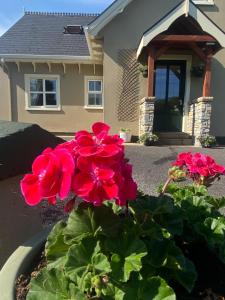 The Lodge Donegal Town