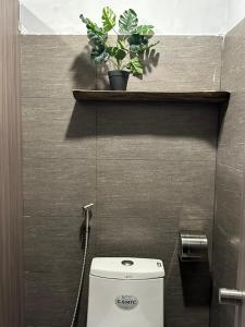 T Zone Hostel - Quiet Place, Near China Town,Ho Thi Ky Street Food,Cafe,Beer