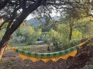Cruz de Caña "La Casa del Río" - Characate