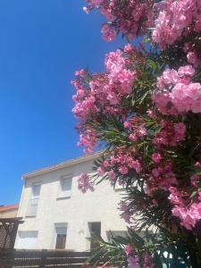 Maisons de vacances Maison Toulouges Climatisee - Proche Perpignan : photos des chambres