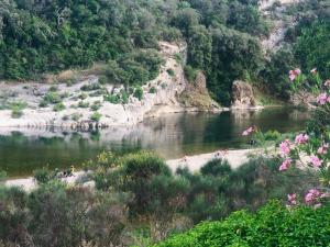 LOCATION VACANCES LA VILLA DU GARDON - EXCEPTIONNEL A COLLIAS - ACCES DIRECT A LA RIVIERE - VUE PANORAMIQUE SUR LES GORGES - 2500€sem