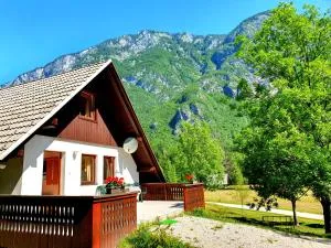 Bohinj Star Apartments - 博希尼