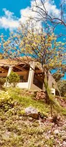 La Bastida : villa avec piscine - Morne-à-lʼEau