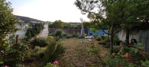 Appartements Loches : gite de charme independant avec jardin : photos des chambres