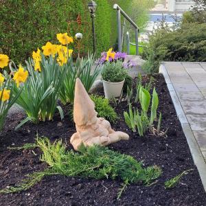 Kuschelige Maisonette