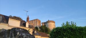 Appartements Loches : gite de charme independant avec jardin : photos des chambres