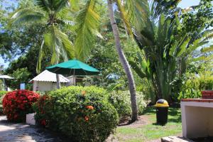 Tropical Bliss Pool Wi-Fi BBQ Near Quepos Manuel Antonio