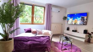 Beauty and Beast 24h-Check-in, 6 Pers, Klima, Massageliege