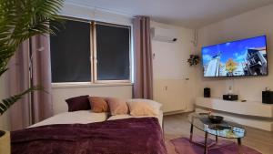 Beauty and Beast 24h-Check-in, 6 Pers, Klima, Massageliege