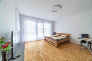 Apartment Michelská