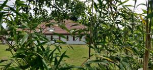 Maisons de vacances La Grange d'Hardy : photos des chambres