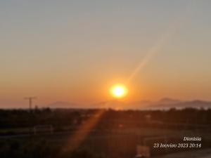 AURELEA ex Filianthi