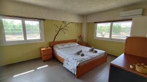 Στον Λεμονόκηπο