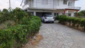 Στον Λεμονόκηπο