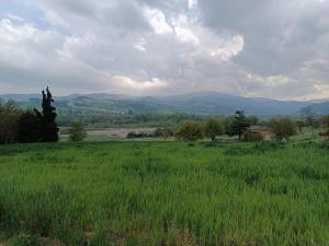 Anime Salve B&B HOME RESTAURANT