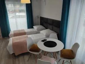 Studio Plac Zdrojowy - 耶莱尼亚古拉