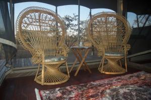 Out in Africa Wildlife Lodge