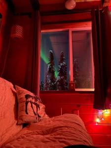 A Dry Cabin You Wont Want to Leave