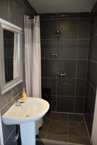 Appartements La Domus Lemaitre - Parking - Wifi TV - autoroute : Appartement avec Douche