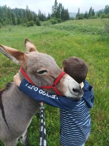 Pokoje Gościnne Jurgowianka