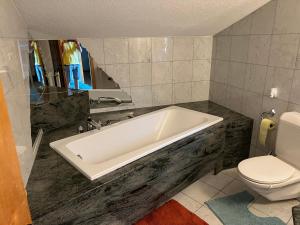 OL Apart, free Parking, free Internet, 24 h Checkin