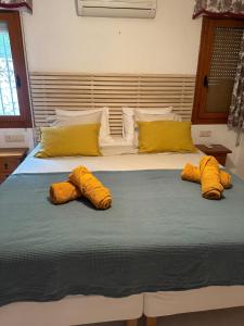 Casa Kokomo