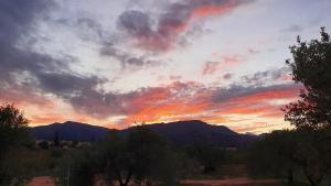 Agriturismo Corte degli Ulivi img56