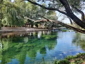 Guest house Green River - Veliki Prolog