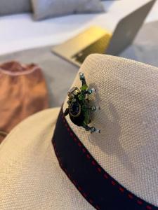 Love hotels Tamarin & Capucin Suite Balneo : photos des chambres