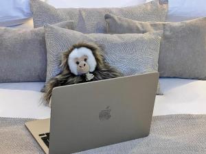 Love hotels Tamarin & Capucin Suite Balneo : photos des chambres