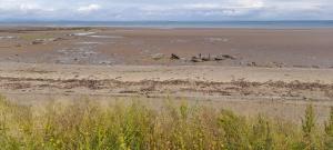 Belfry 2 - Luxury spacious family caravan