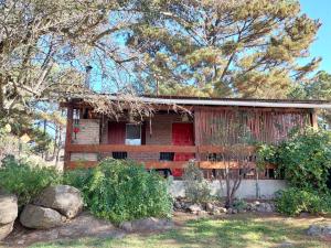 Luna Plateada - Terrafirme