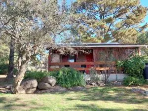 Luna Plateada - Terrafirme - Rincón de Luna