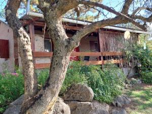 Luna Plateada - Terrafirme