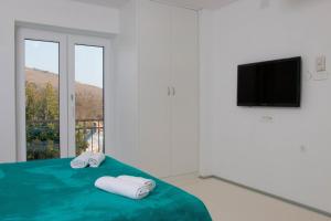 Luxury villa with a swimming pool Crikvenica - 21519