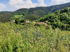 Maisons de vacances Gite Langeac, 3 pieces, 4 personnes - FR-1-582-124 : photos des chambres