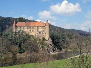 Charmant gîte à Saint-Romain-Lachalm avec terrasse et proximité Dunières - FR-1-582-264