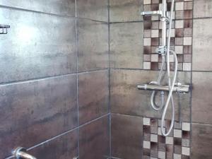 Maison rénovée à la ferme avec jardin privé, WI-FI, pêche, balançoire, trampoline - Brem-sur-Mer - FR-1-426-103