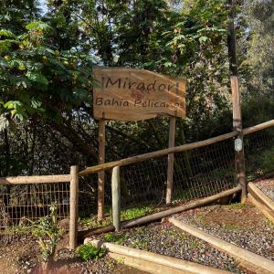 Bahía Pelicanos Catalina
