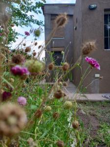 Chacras casa Armonia