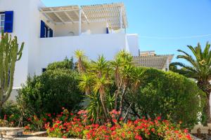 Nicos Studios & Apartments Paros Greece