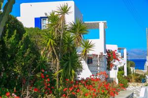 Nicos Studios & Apartments Paros Greece