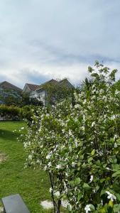 Villa Mui Ne Phan Thiet SeaView