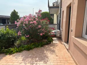 Casa Colombina