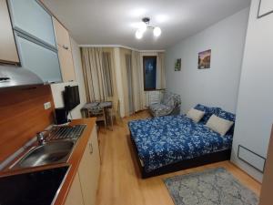Borovets Villa Park studio