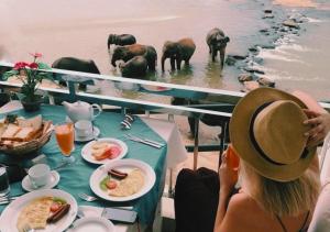 Hotel Elephant Park - NEW DEAL! Exclusive Offers on Pickups Available!