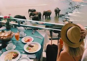 Hotel Elephant Park - NEW DEAL! Half Off Airport Pickups Available - 凯格勒