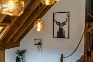 Jungfrau-View Apartment, terrace & free parking