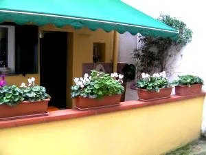 Casa nonna Tetta 2 e 2 - Antignano