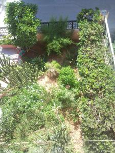 Stella Apartments Heraklio Greece